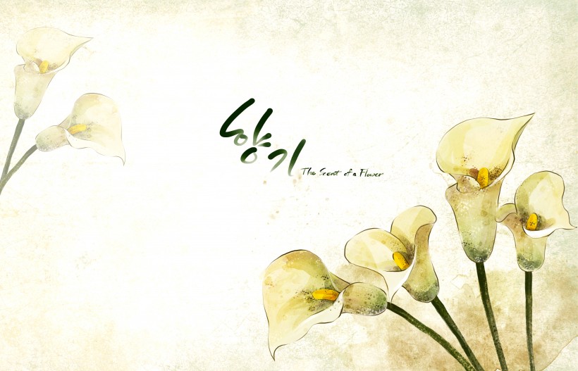小清新背景图片大全 韩国花朵插画风格背景