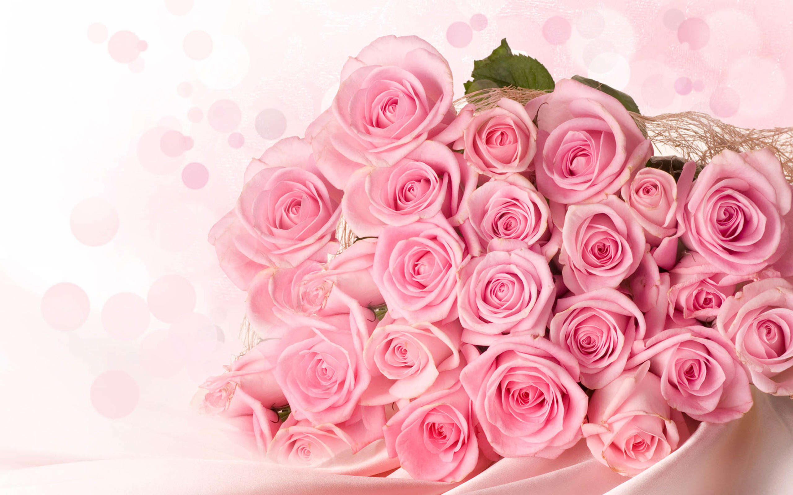 粉色玫瑰花唯美高清壁纸