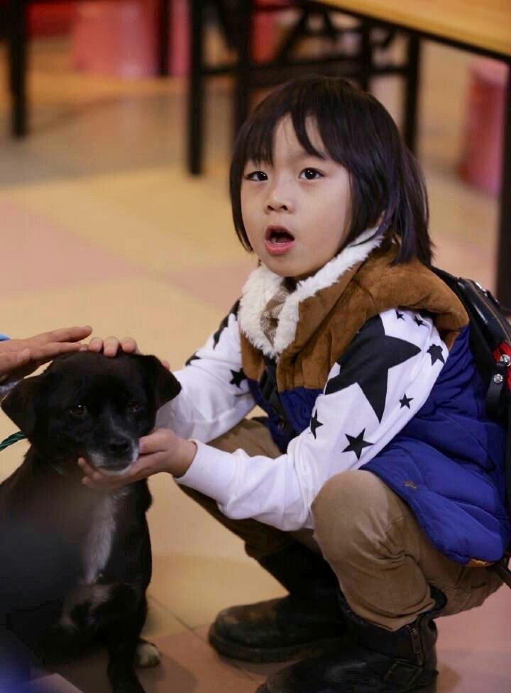 ϸ��2015��00����˧���ȵ�С˧��