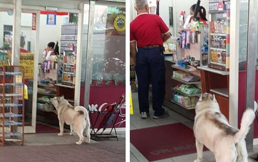 ̨ʿ浱֡١· ձèʹż