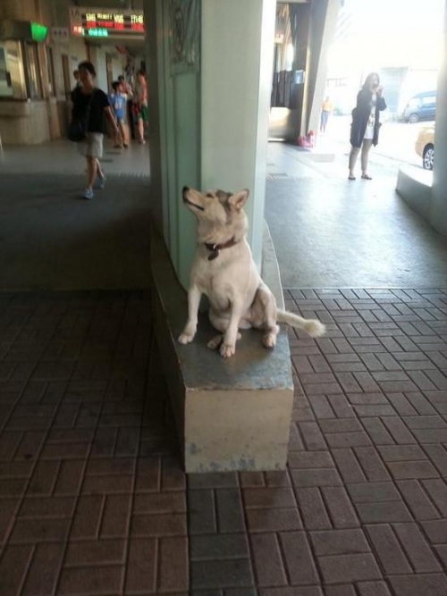 ̨ʿ浱֡١· ձèʹż