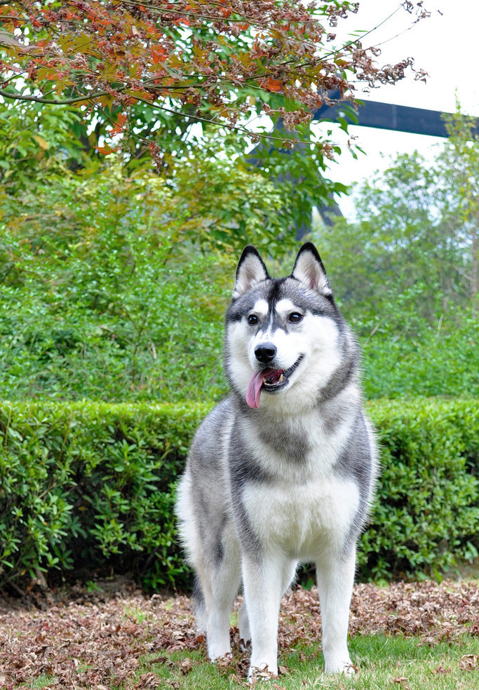 ̨ʿ浱֡١· ձèʹż