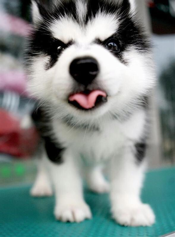 ̨ʿ浱֡١· ձèʹż