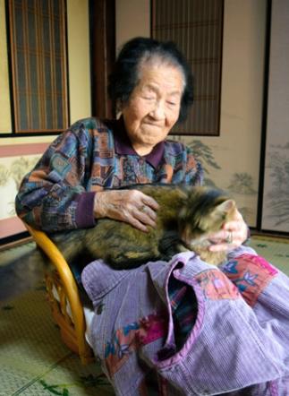 ̨ʿ浱֡١· ձèʹż