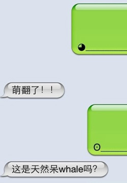 Цͼ֮iPhoneɰȫ