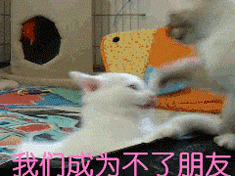 ĬЦGIF̬ͼƬ