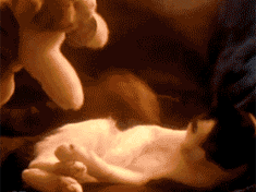 ĬֶGIF̬ͼƬ