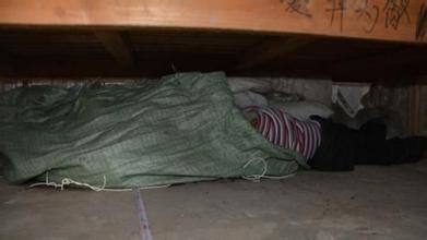 СӴɨŮʬ˥⵽ ϵıɱʬ