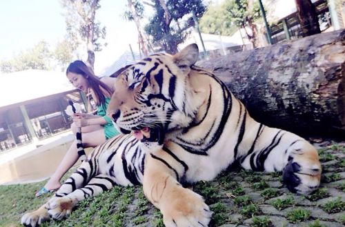 CBA����Я���Ӷȼ� ���޾��󵨵�Ϸ�ϻ�