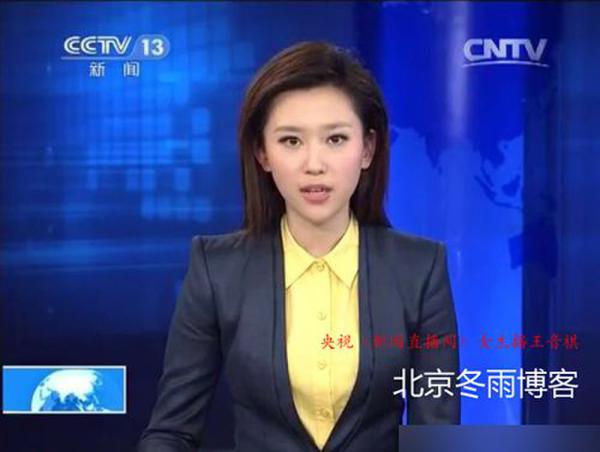 央视女主播戴苹果手表 网友纷纷称其在炫富