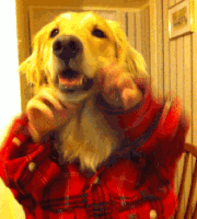 ȿɰGIF̬ЦͼƬ