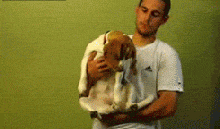 ЦɰGIF̬ͼƬ