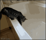 ɰЦСGIF̬ͼƬ