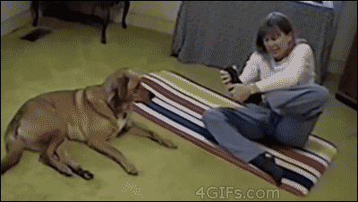 ĬGIF̬ЦͼƬ