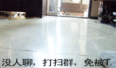 ̬ɰСЦGIF̬ͼ