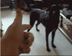 ĬɰСèGIF̬ͼƬ