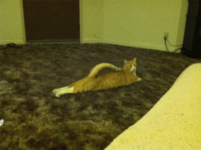 ɰȳӼGIF̬Цͼ