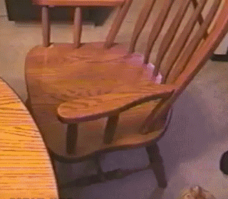 ɰȳӼGIF̬Цͼ