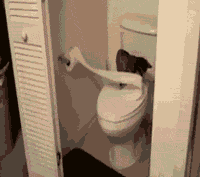 ĬèGIF̬Цͼ