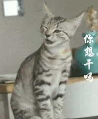 ˹ǰŵĿɰȳGIFͼ