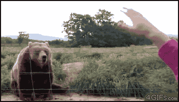 ɰЦGIF̬ͼƬ