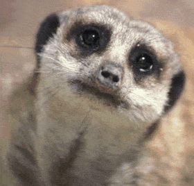 ɰֶGIF̬Цͼ