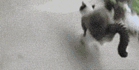 ȻèèĶ̬GIFͼƬ