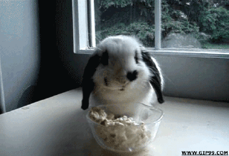 ɰԻ»̬GIFͼƬ
