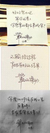 2015年,井柏然迎来了自己的“井喷年”