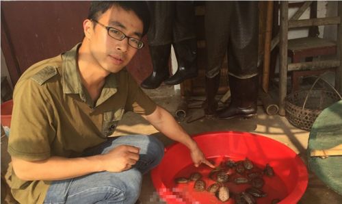 湖边涌现大量乌龟 专家表示系中外乌龟发生混战引起