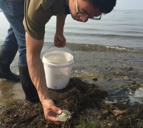 ӿִڹ רұʾϵڹ귢ս