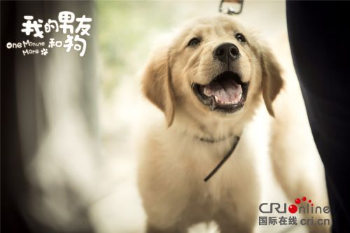 《我的男友和狗》张钧甯入戏流泪不止 杀青后仍想念里拉