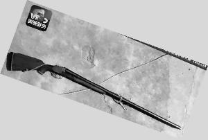 �ӱ�ǹ����ϸ���ع� ����Ԭ˧����Ȯ����ֳ���ǹ��