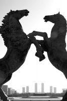 ����¥��û��ȫ���Ǽ����� �������ô�¥����������