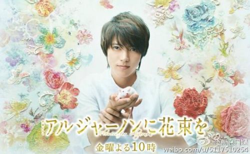 山下智久《献给阿尔吉侬的花束》跌破他的最差收视记录