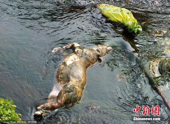 �����������¼�16���������ְ�����������