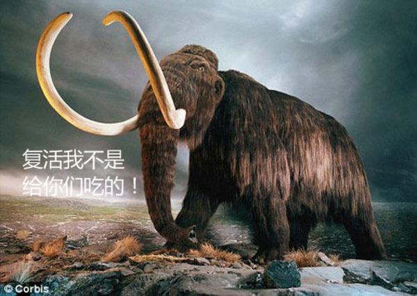 ����ʬ�⡱���ϲ�������˭�Ĵ���