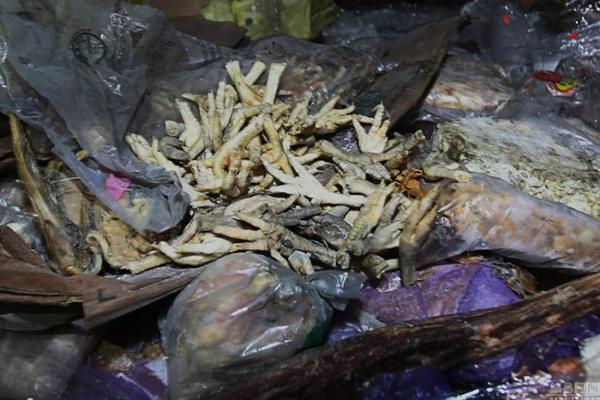 ����ʬ�⡱���ϲ�������˭�Ĵ���