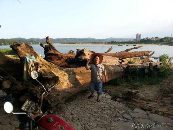 �����̳���44������ľ ���ٱ��Ƶ��Թ��ҲƲ�