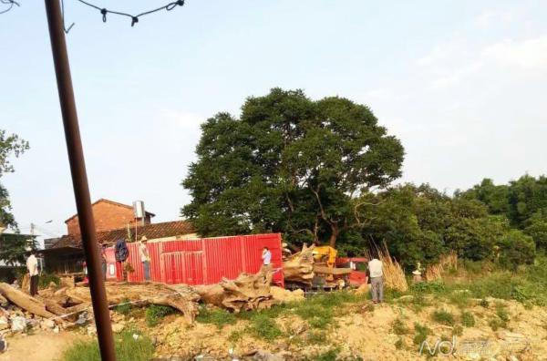 �����̳���44������ľ ���ٱ��Ƶ��Թ��ҲƲ�