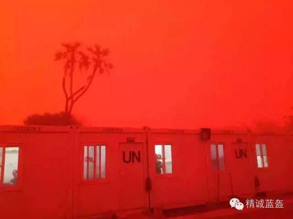 ������ɫɳ����Ϯ�� ��ֲ�Ƭ