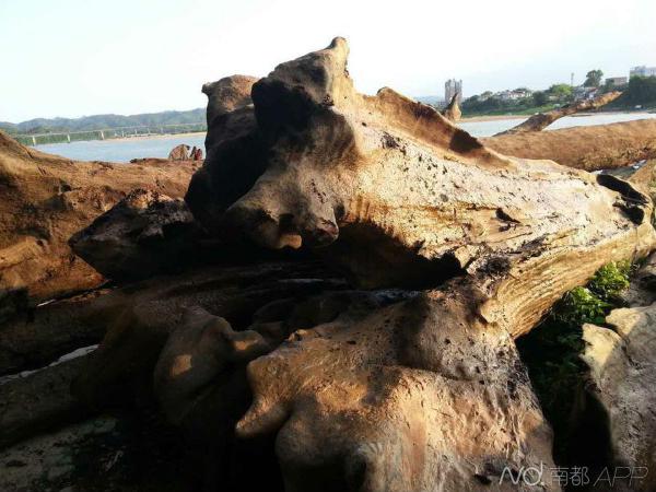 �����̳���44������ľ ���ٱ��Ƶ��Թ��ҲƲ�