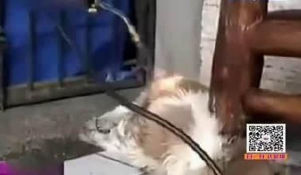 Ů�ӳ����ǹ���� ȫ��΢Ц