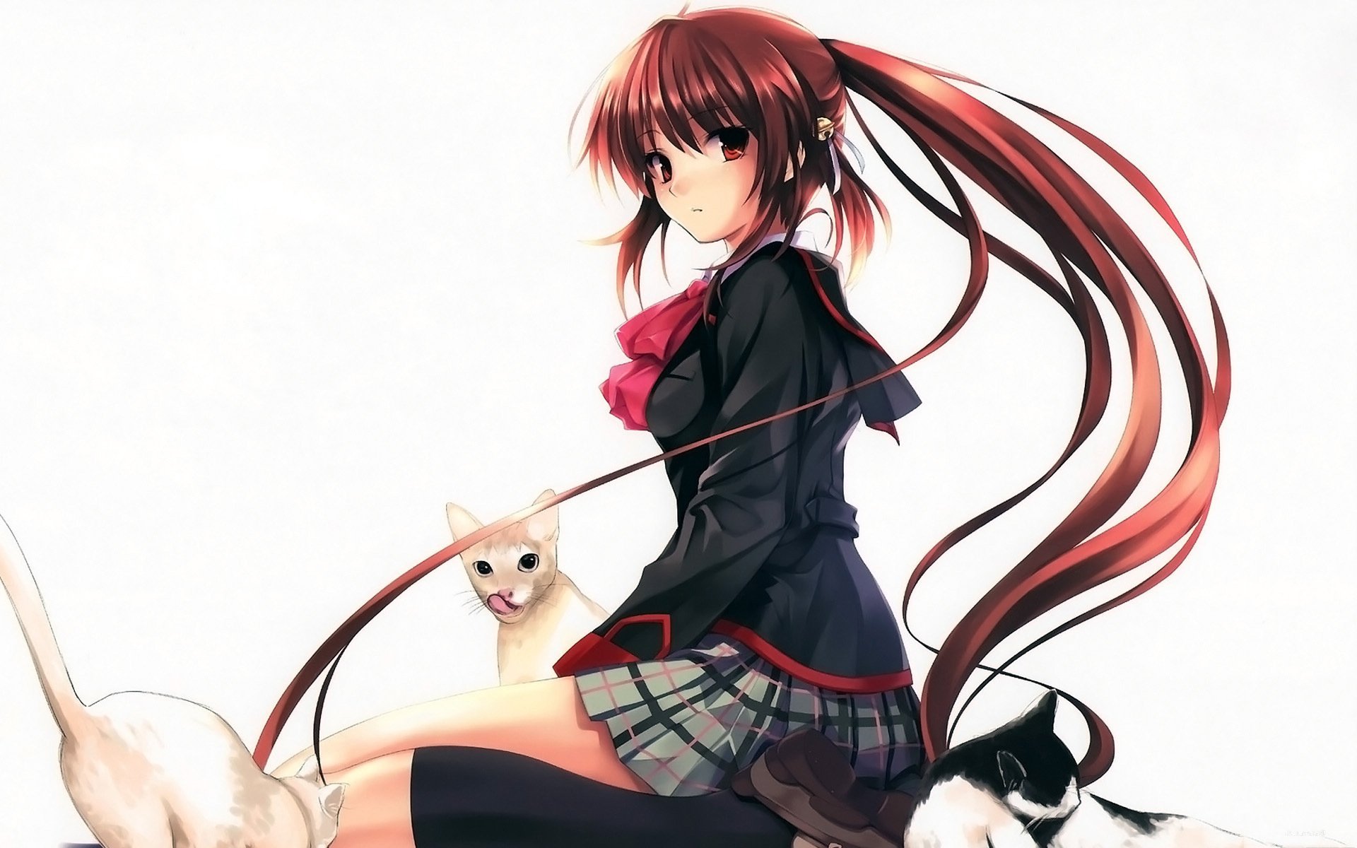 ձֽLittle Busters