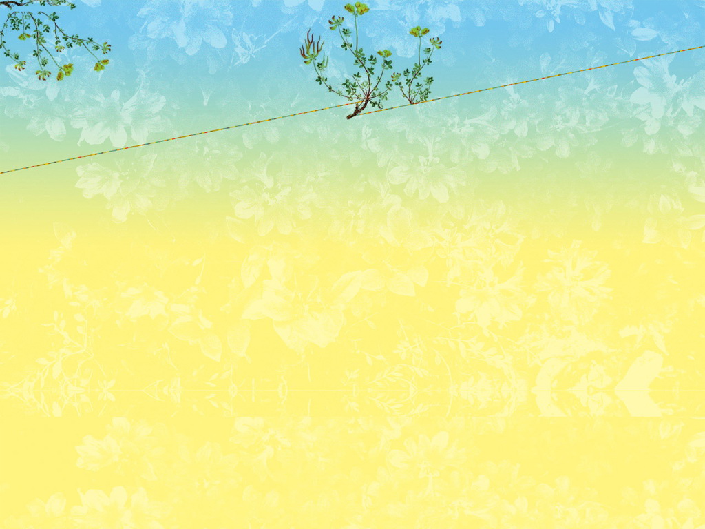 ͨɫwin7ֽϵ