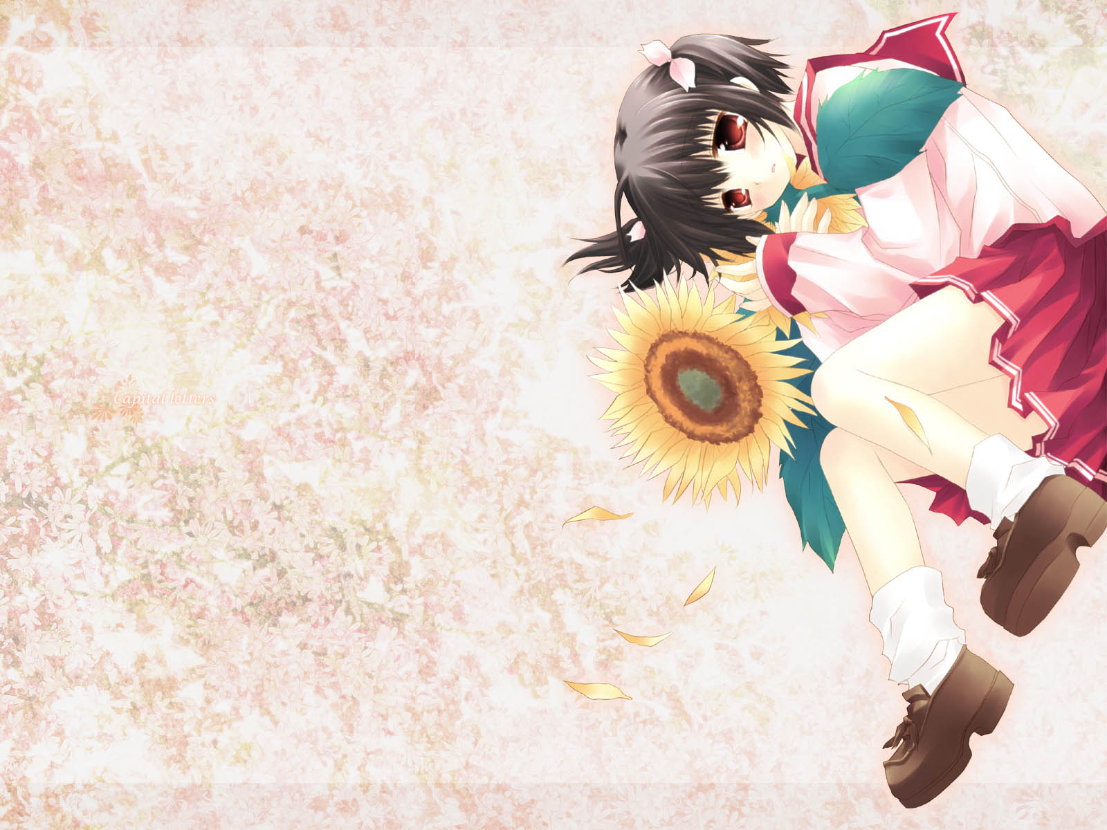ձͨHANABIֽ