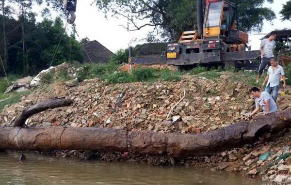 ���ӽ�������ľ���� ����:����5000Ԫ