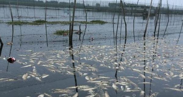 ���������ɽ��ͺ� ������ʧ����