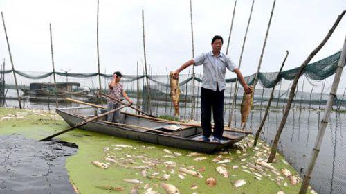 ���������佴�ͺ� 9.2��Ķˮ����Ⱦ