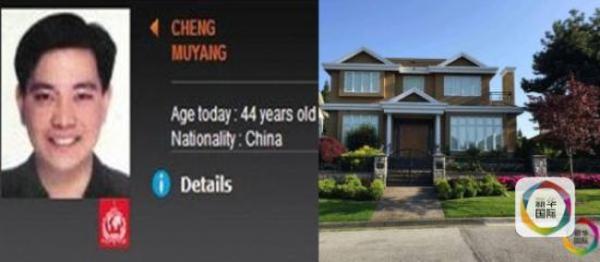 ��Ľ������ʤ �����������뽫���ؼ�����������